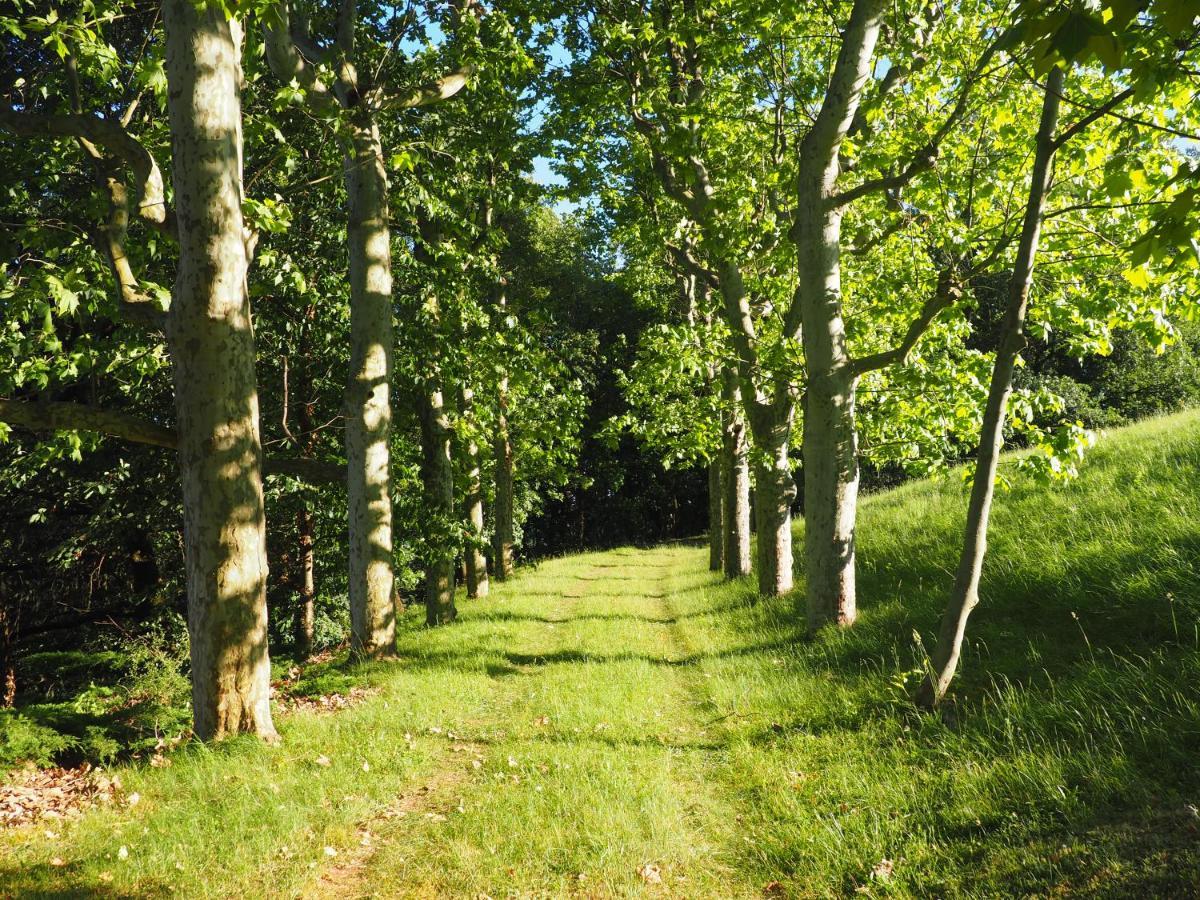 La Souveraine Saint-Genis-Laval Eksteriør billede